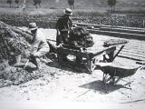 138- Brikkebakkers 1932.JPG